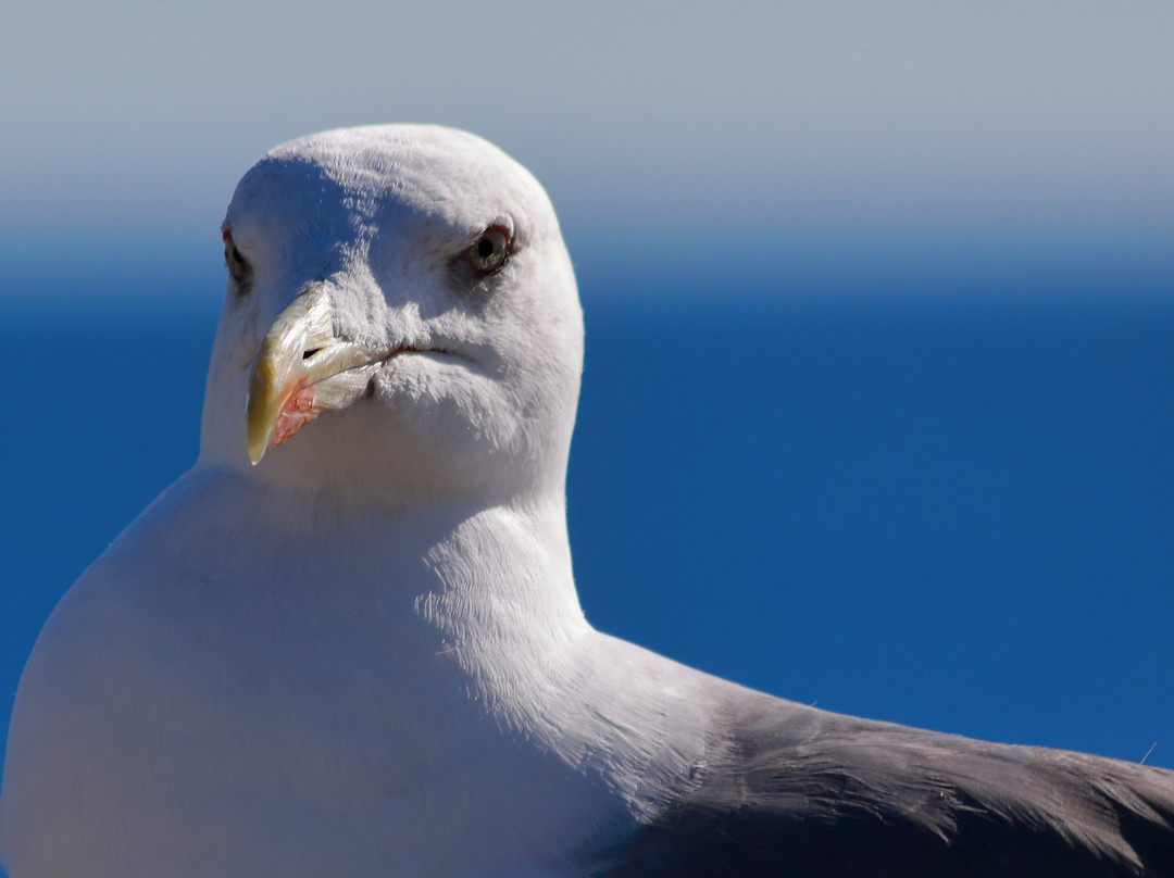 Vicentina Hotel主图