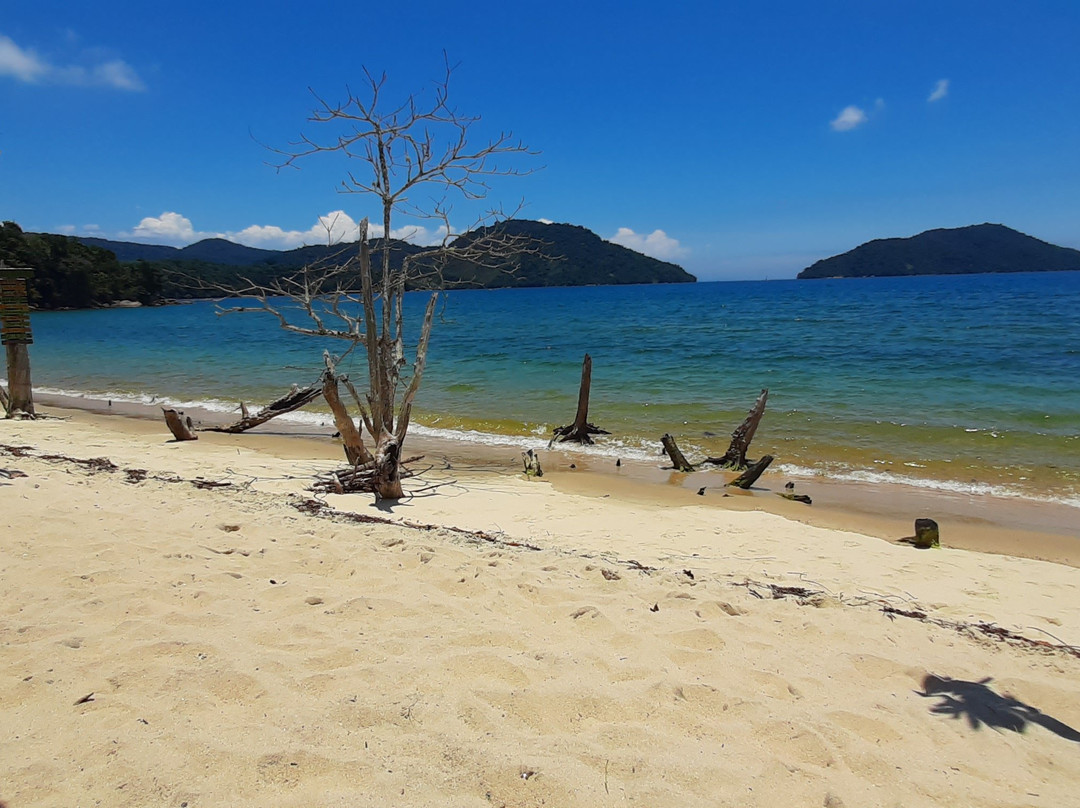 Paraty-Mirim Beach景点图片