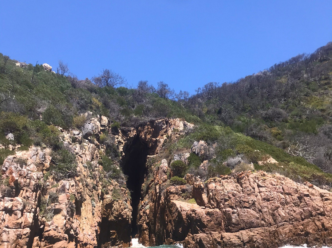 Knysna Adventures-克尼斯纳必去景点