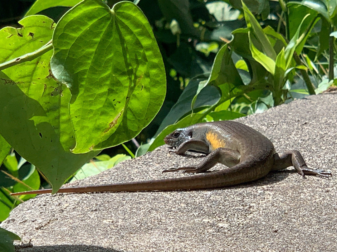 阿旺阿旺别墅主图