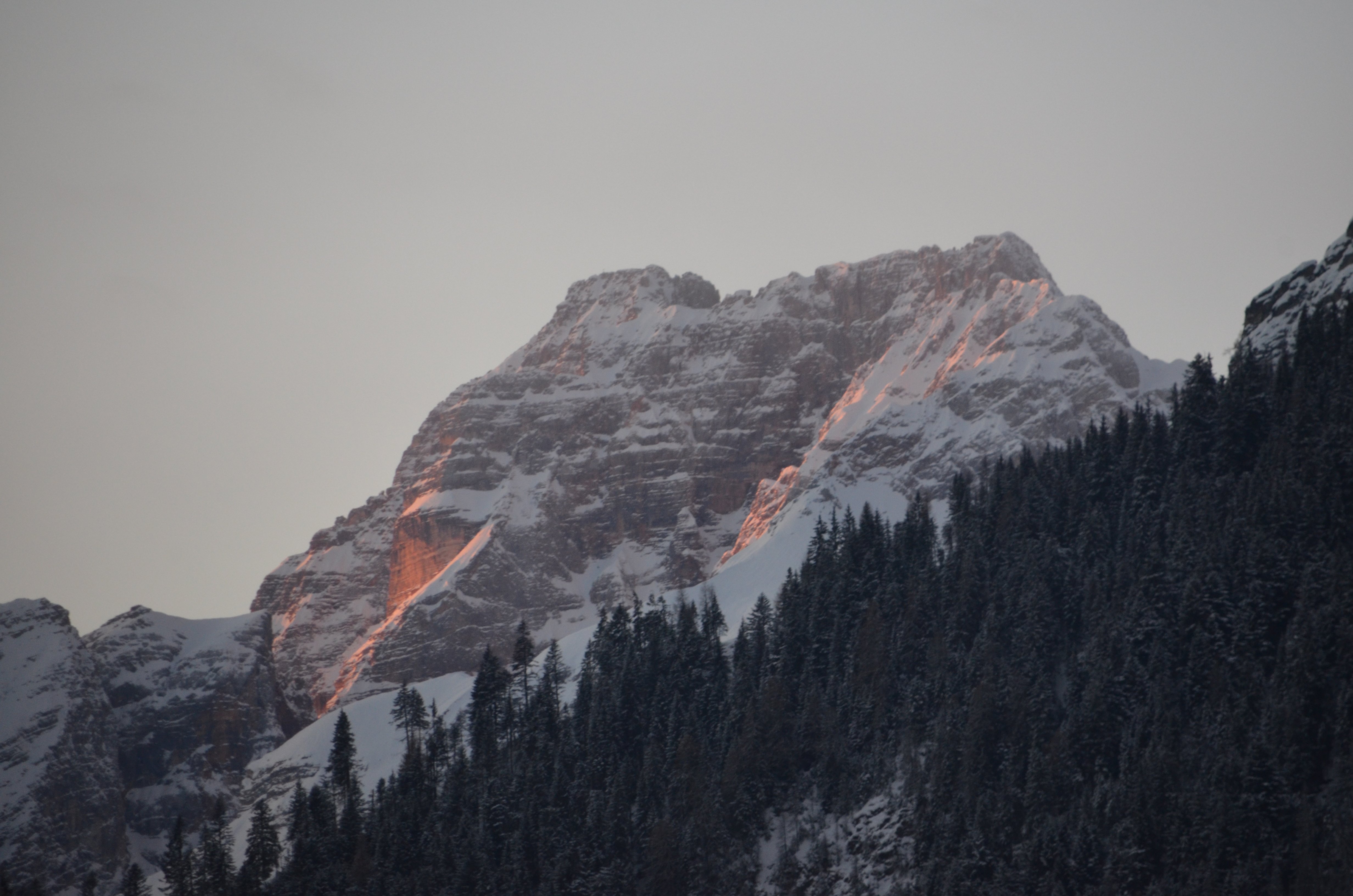 Hotel Erika-酒店景观