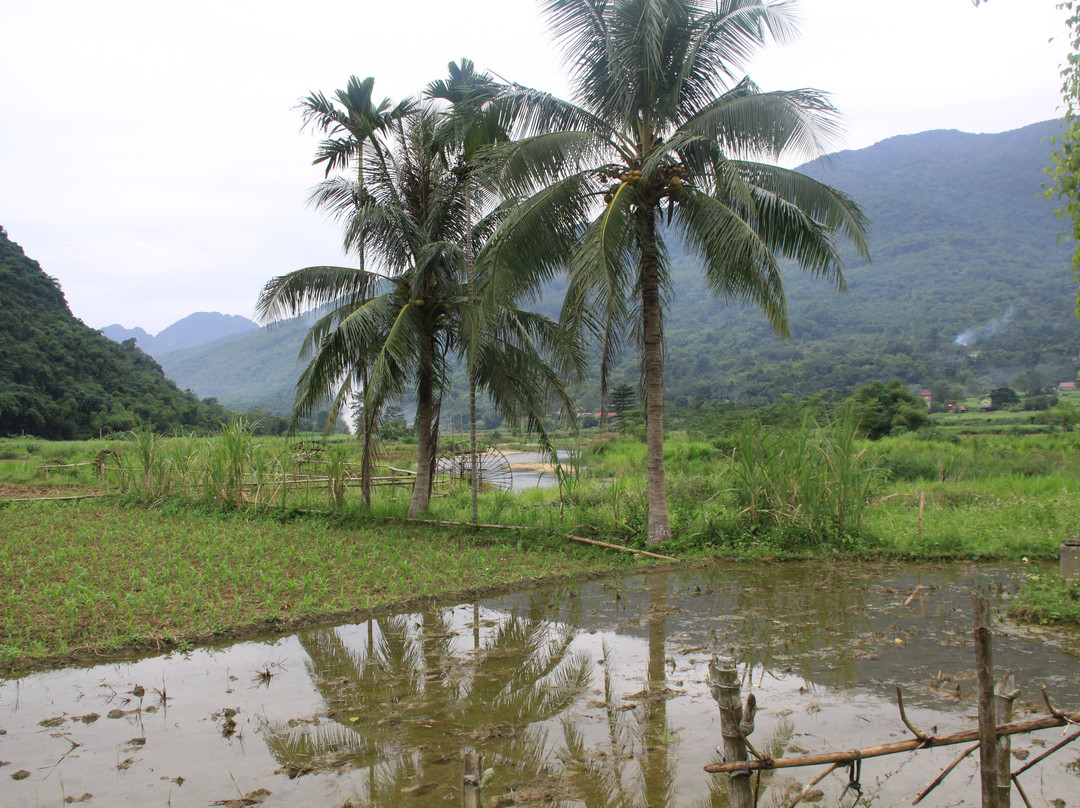 Pu Luong Nature Reserve景点图片