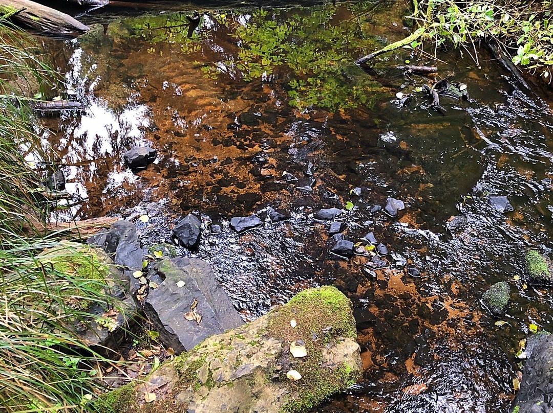 Beverly Beach State Park-Otter Rock必去景点