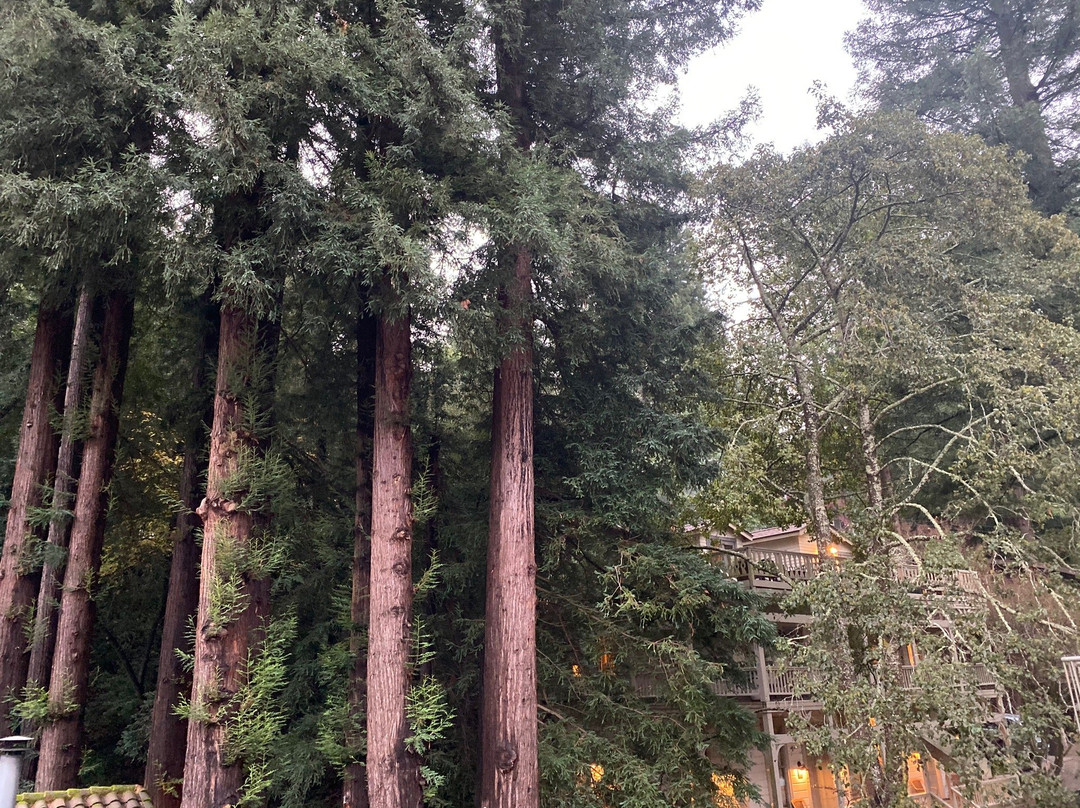 米尔谷旅馆主图