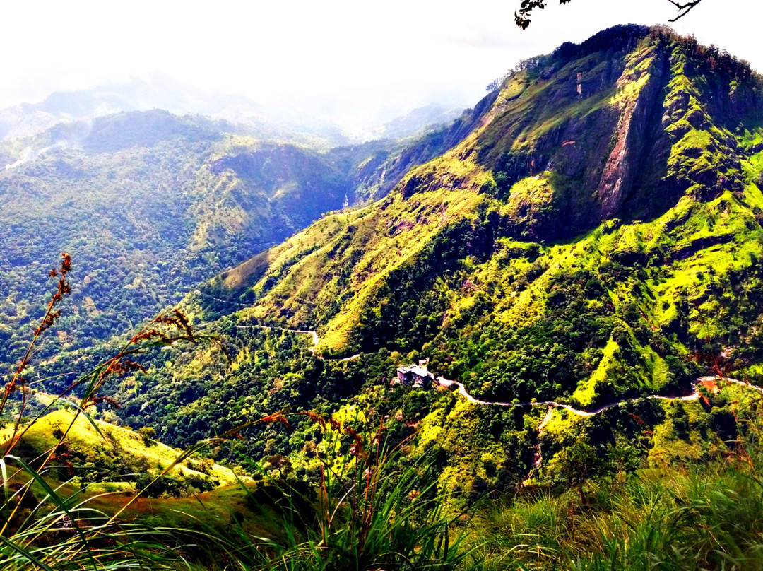 Cookery/ Art @ Ella Rocks-埃勒必去景点