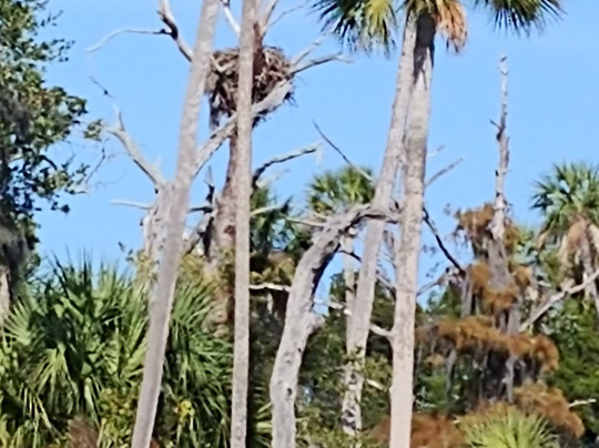 Captain Rick's Fishing Charters-Yankeetown必去景点