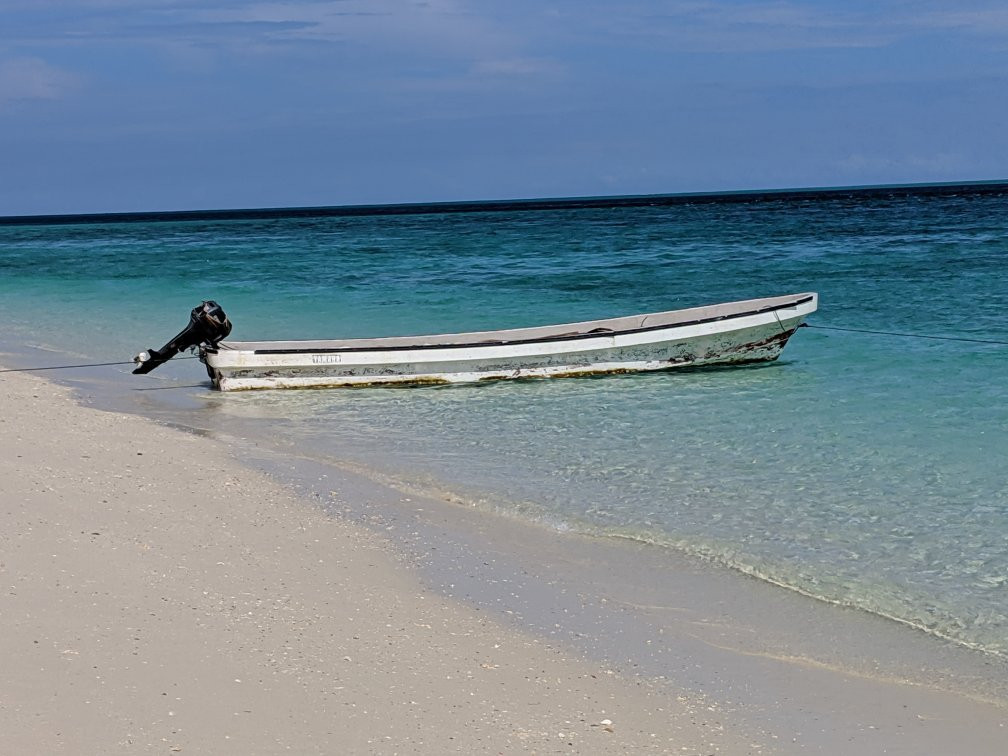 Misali island-奔巴岛必去景点