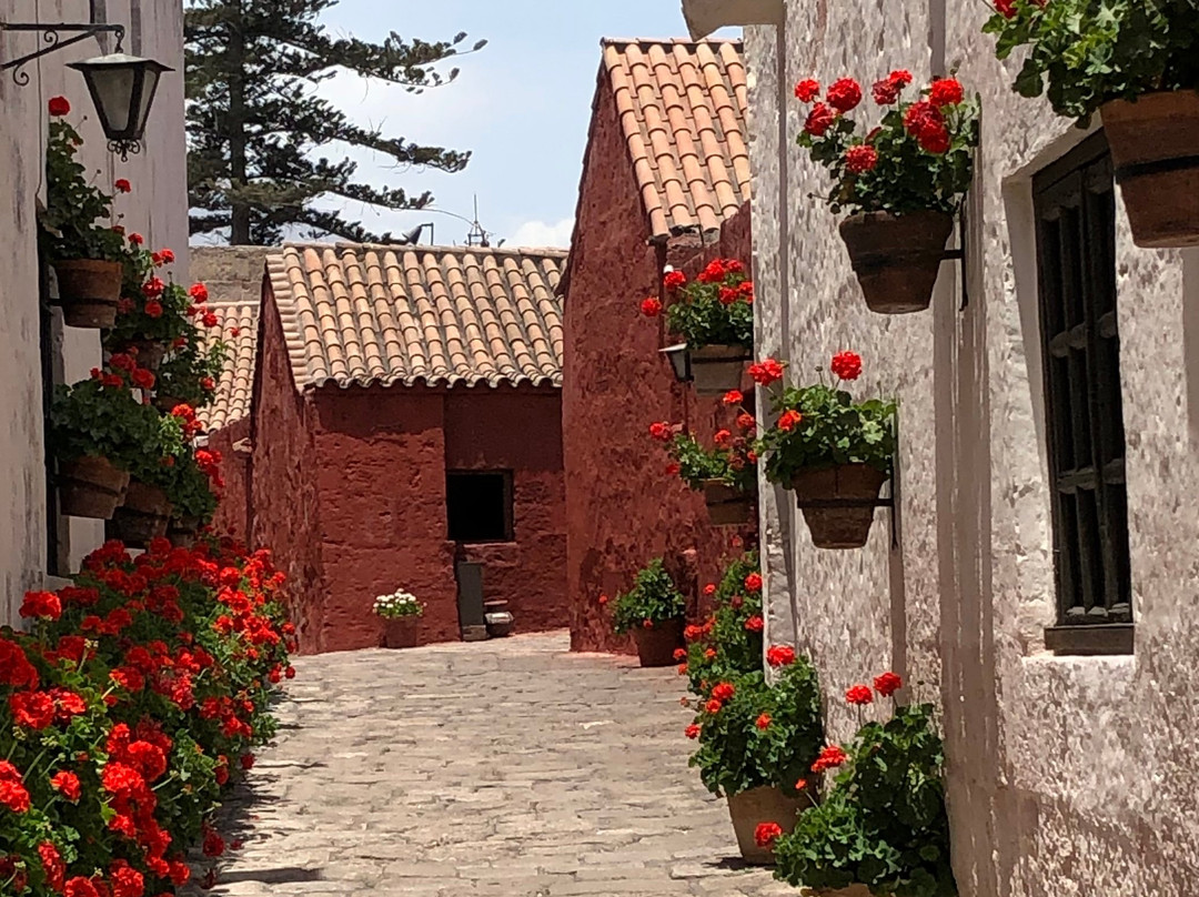 安第斯圣殿博物馆 (Museum of Andean Sanctuaries)-阿雷基帕必去景点