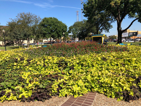 Travis Park Plaza-圣安东尼奥市必去景点