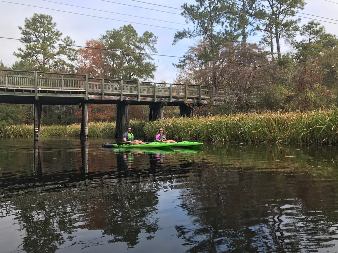 Bayou Adventure景点图片