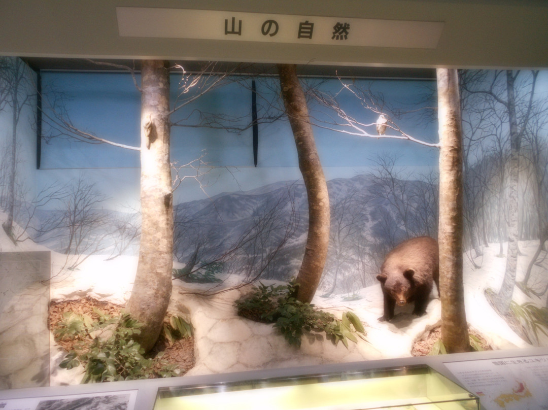 Fukui City Museum of Natural History景点图片