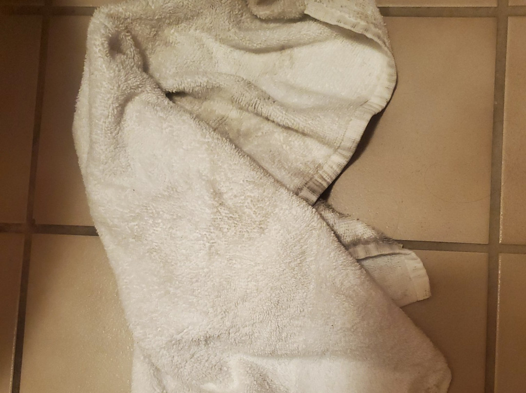 Econo Lodge Inn & Suites Foley-North Gulf Shores主图