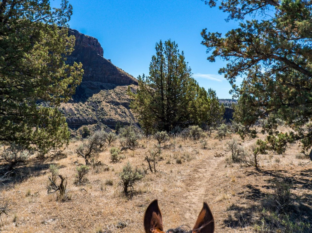 Smith Rock Trail Rides-Terrebonne必去景点