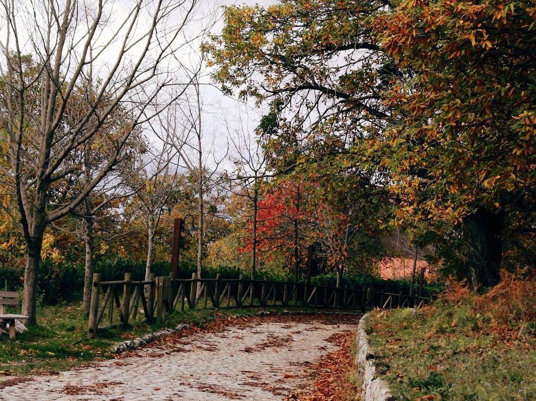 Percorso Ambientale “Summonte –Campo San Giovanni”景点图片