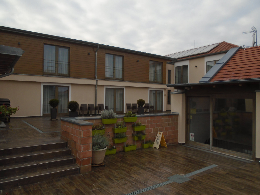 Bukkos Hotel & Spa主图