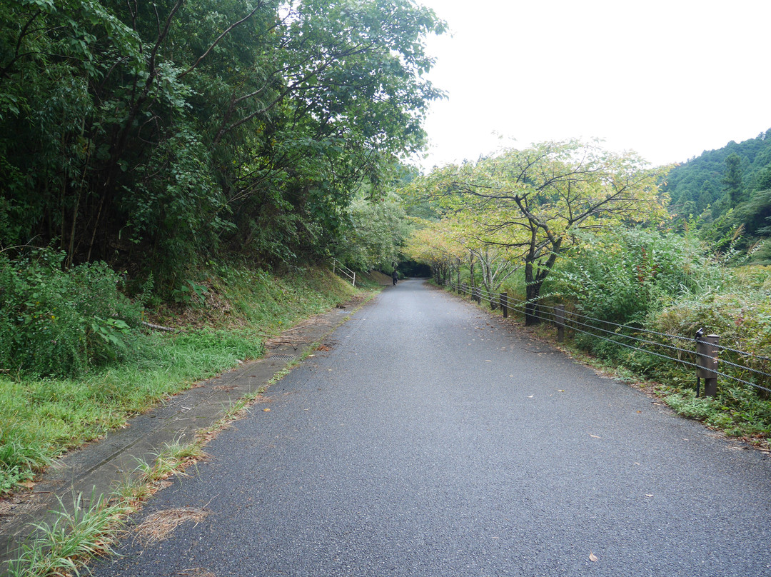 The Historical Road of Hagiokan景点图片