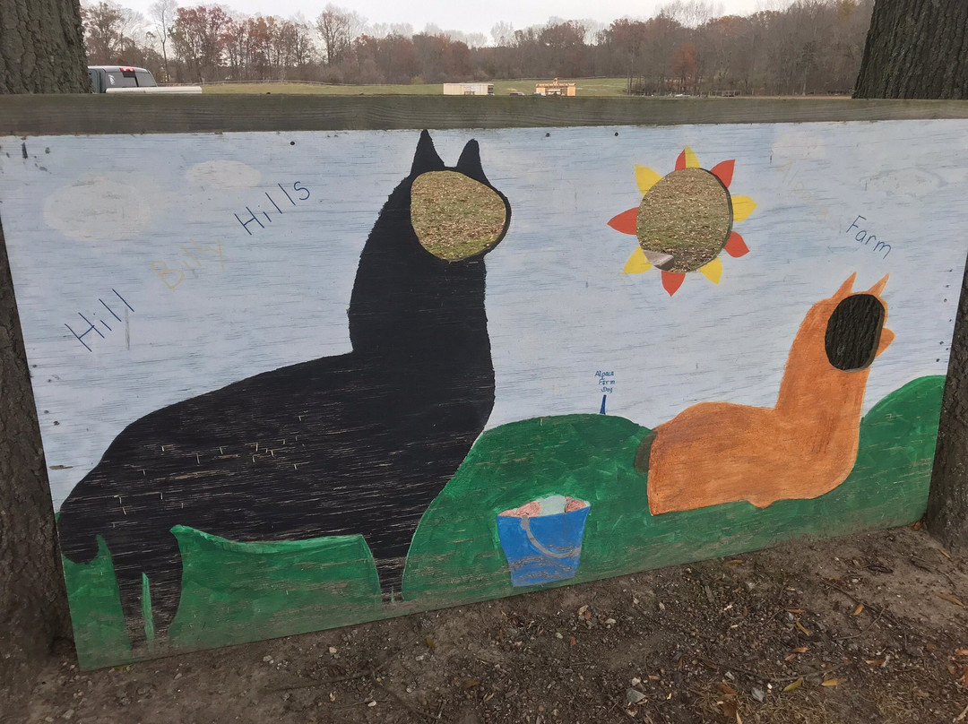 Hill Billy Hills Alpaca Farm-纽瓦克必去景点