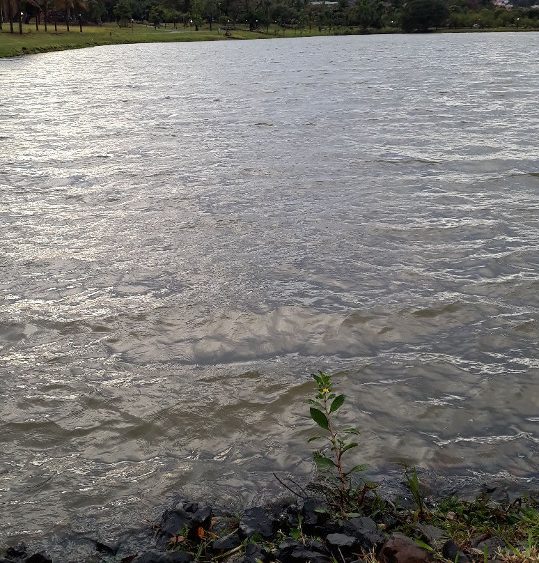 Dr. Renato Pagano Ecological Park-Cravinhos必去景点