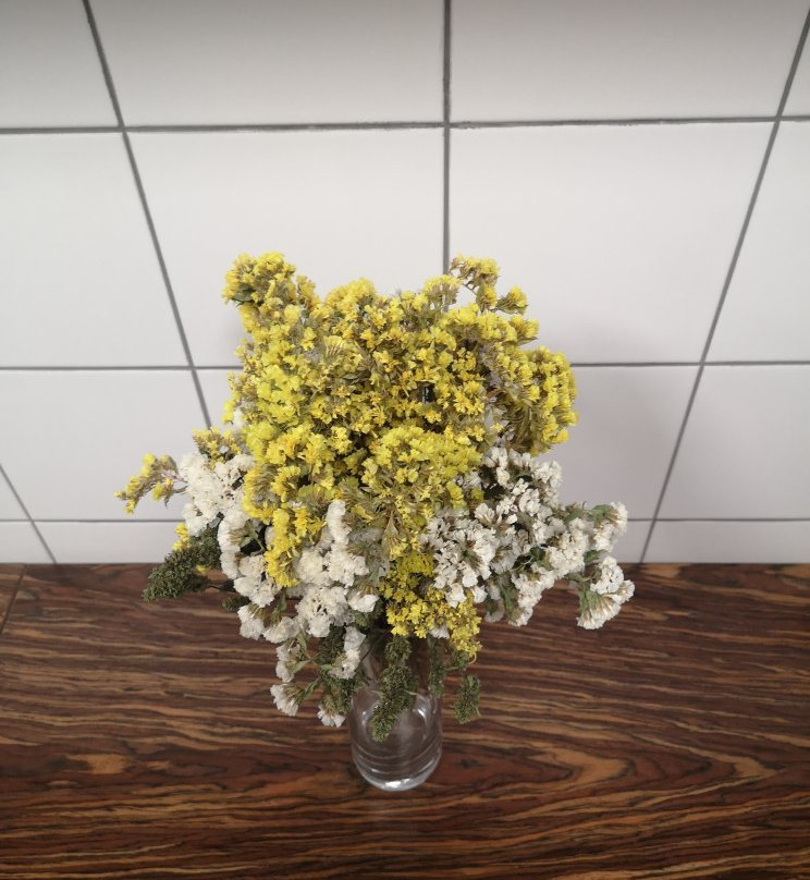 Mini-hotel Bortoli主图