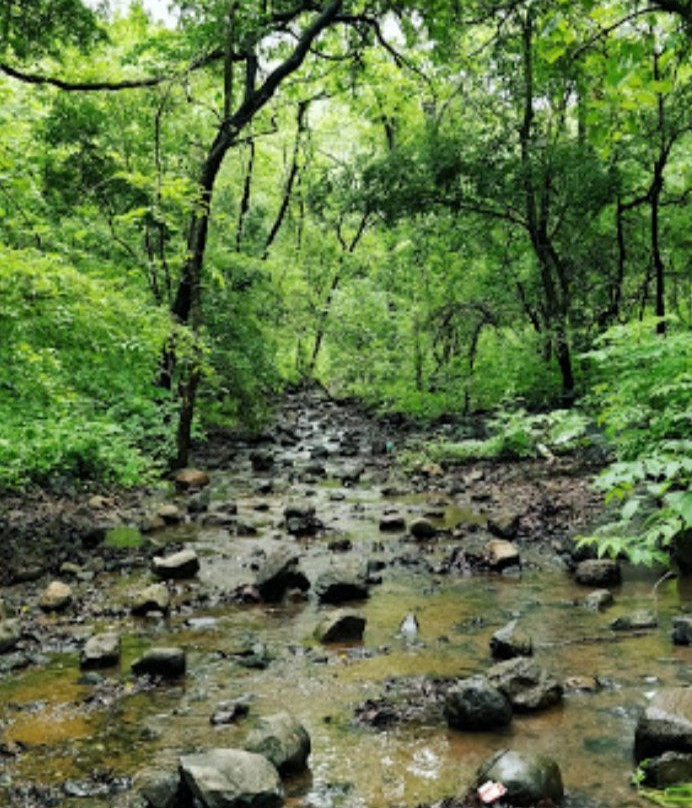 Chinchoti Waterfalls景点图片