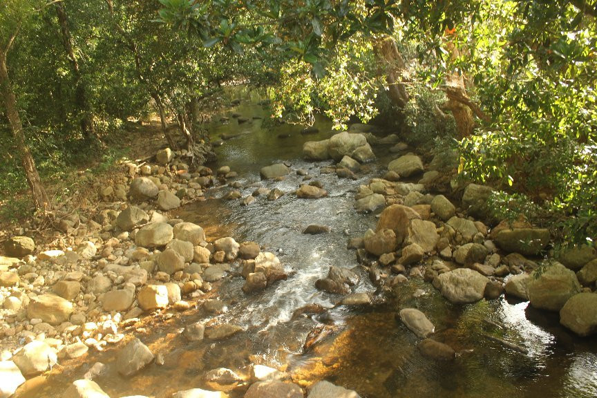 Vazhvanthol Waterfalls-提卢湾安塔普兰（特里凡德伦）必去景点