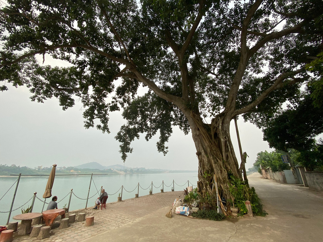 Bavi Eco Tour-河内必去景点