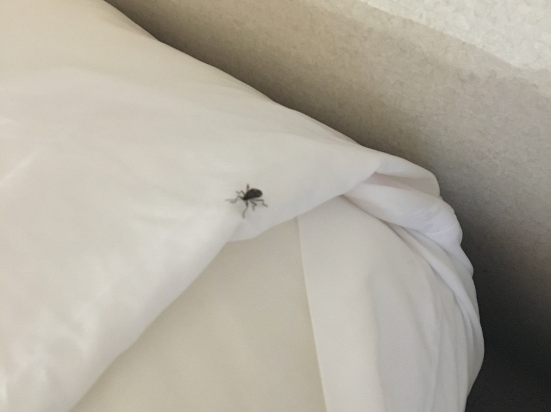 Comfort Suites Salisbury I-85主图