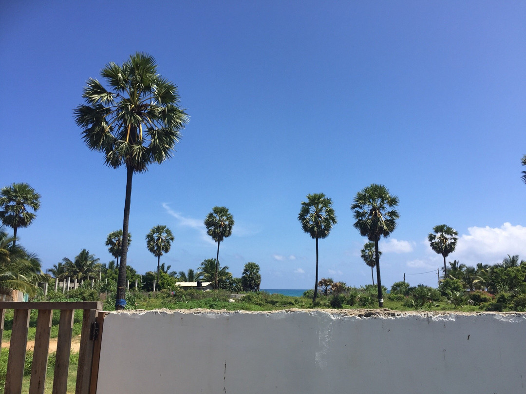 Dot's Bey Beach Cabana主图