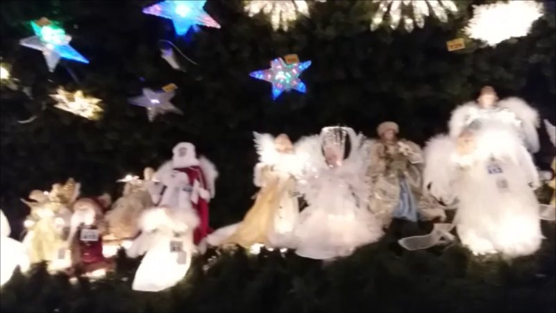 Robert's Christmas Wonderland-克利尔沃特必去景点