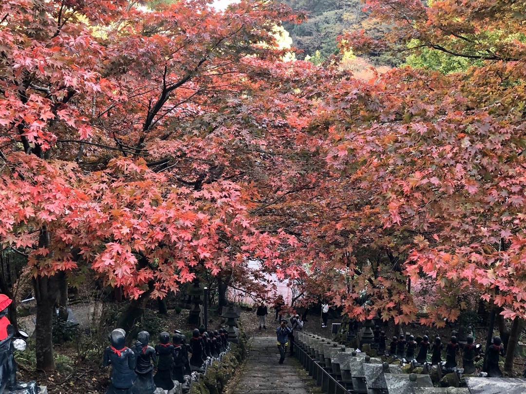 Oyama Temple景点图片