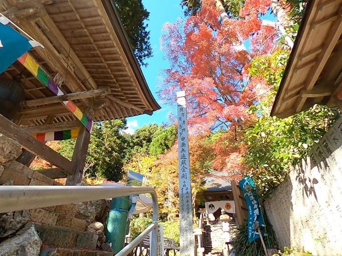 Teifukutera Temple-大豊町必去景点