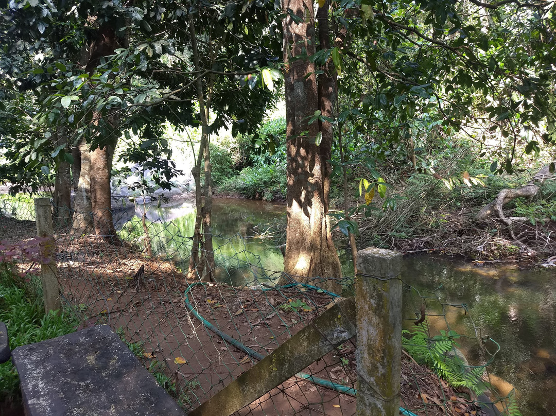 Jungle Beats Resorts主图