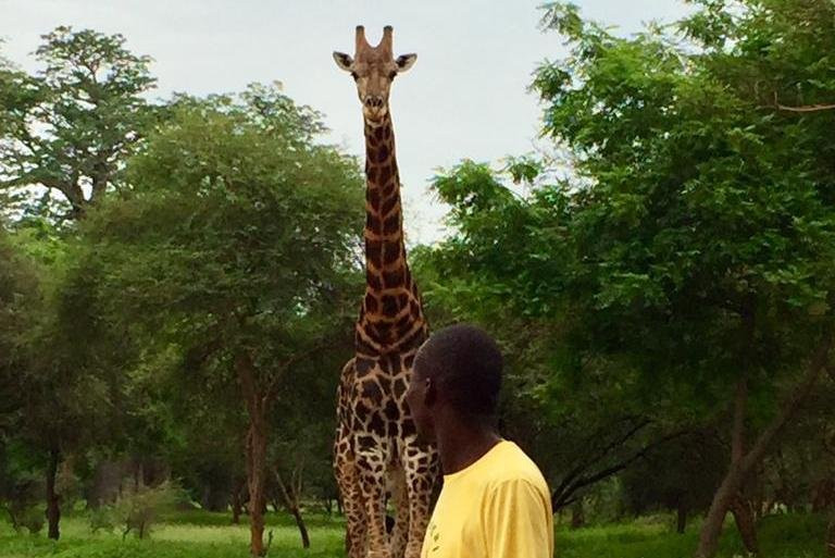 Senegal Tourist Guide-达喀尔必去景点