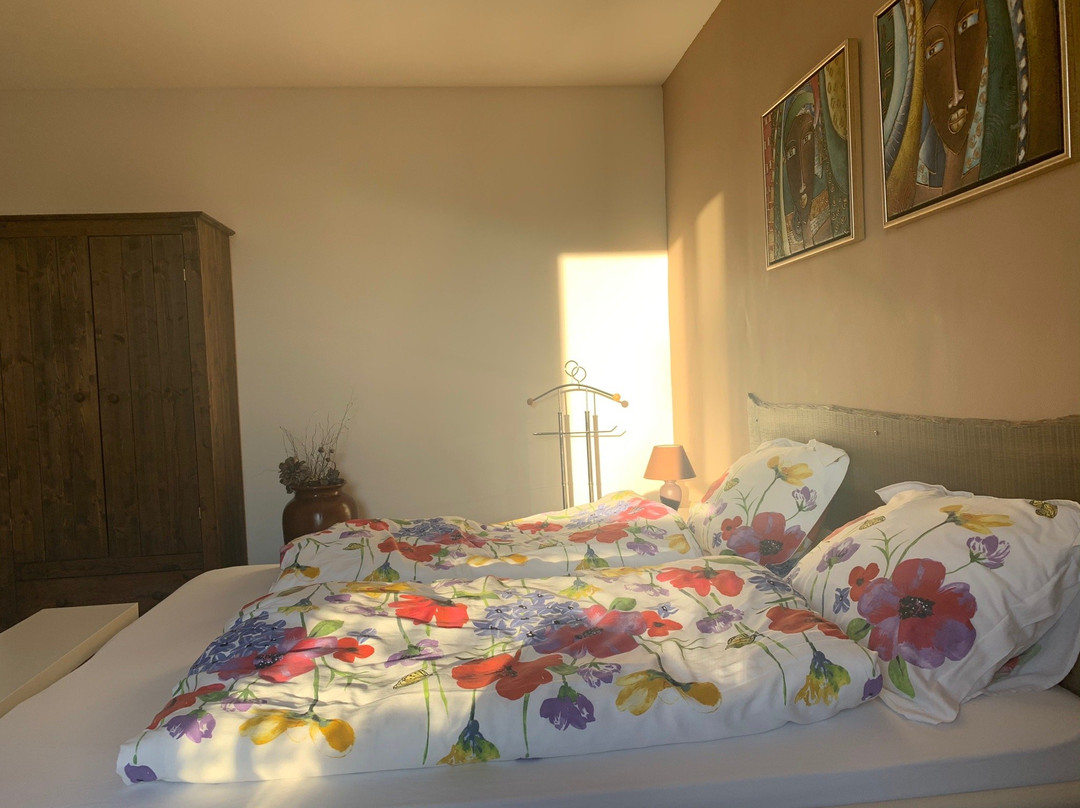 B&B La Vieille Ecole主图