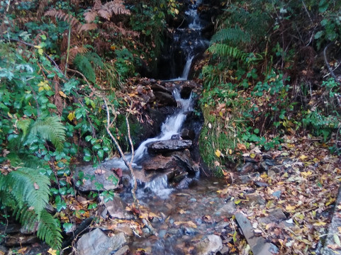 Sendero de Valvanera-Anguiano必去景点