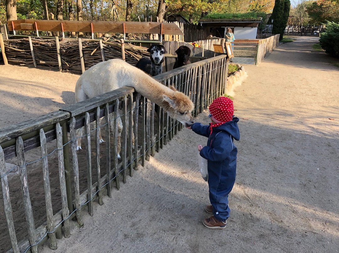 Heimattierpark Greifswald景点图片