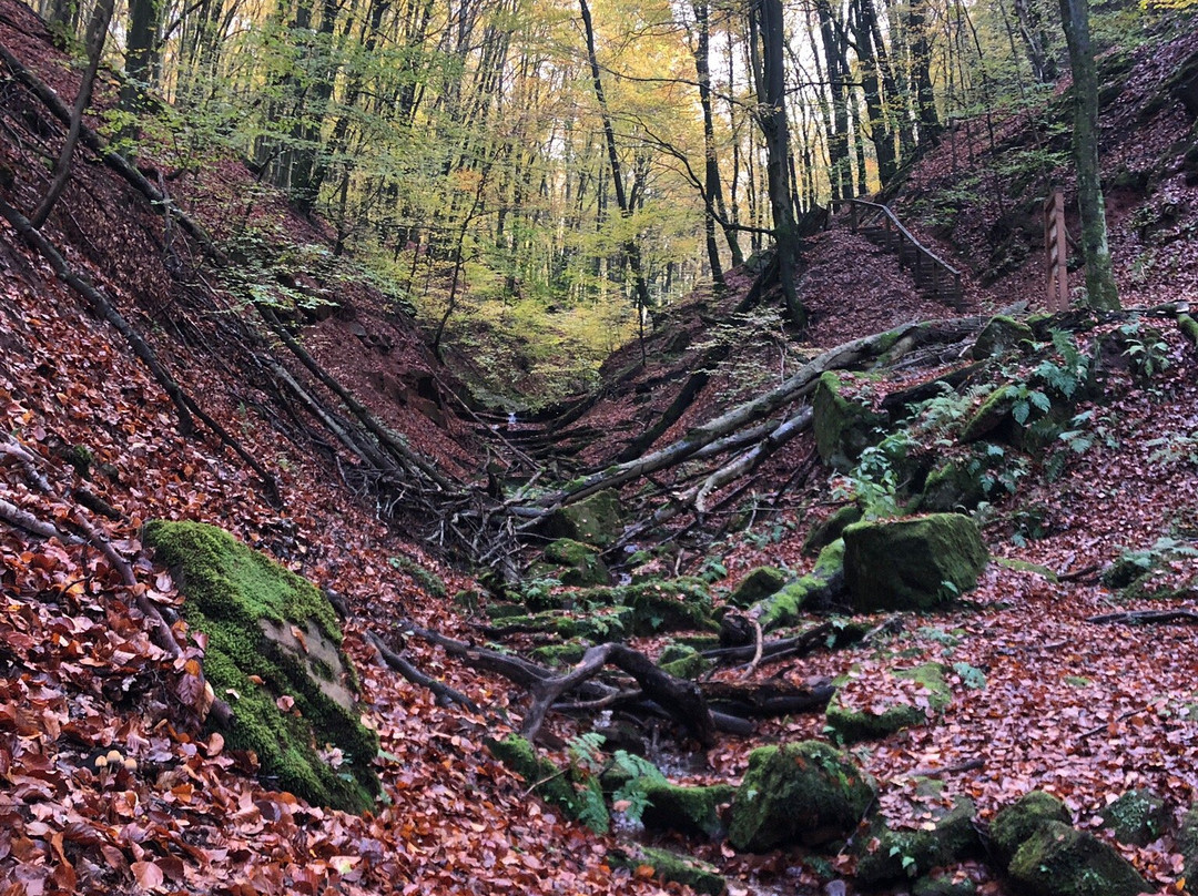 Elendsklamm-Bruchmuehlbach-Miesau必去景点