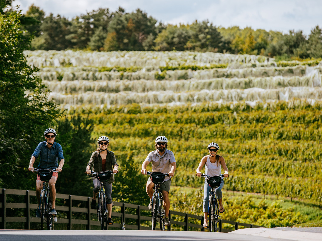 Grand Traverse Bike Tours景点图片