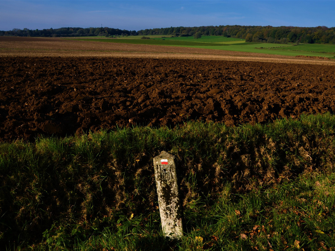Dolmen nord de Wéris - Patrimoine exceptionnel de Wallonie景点图片
