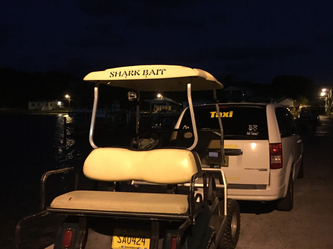 Seaside Carts-Green Turtle Cay必去景点