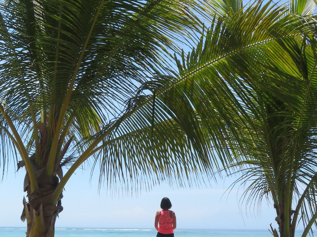 MYAMO Beach Lodge主图