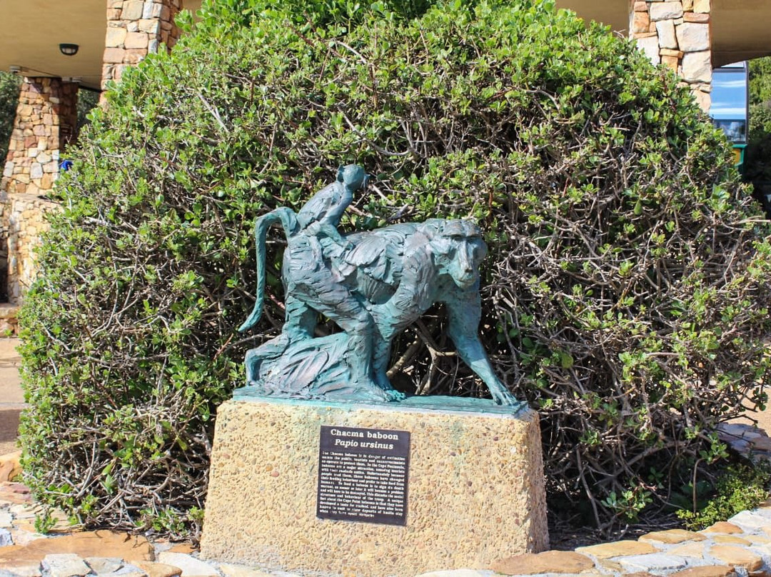 Cape Transit SA-开普敦必去景点