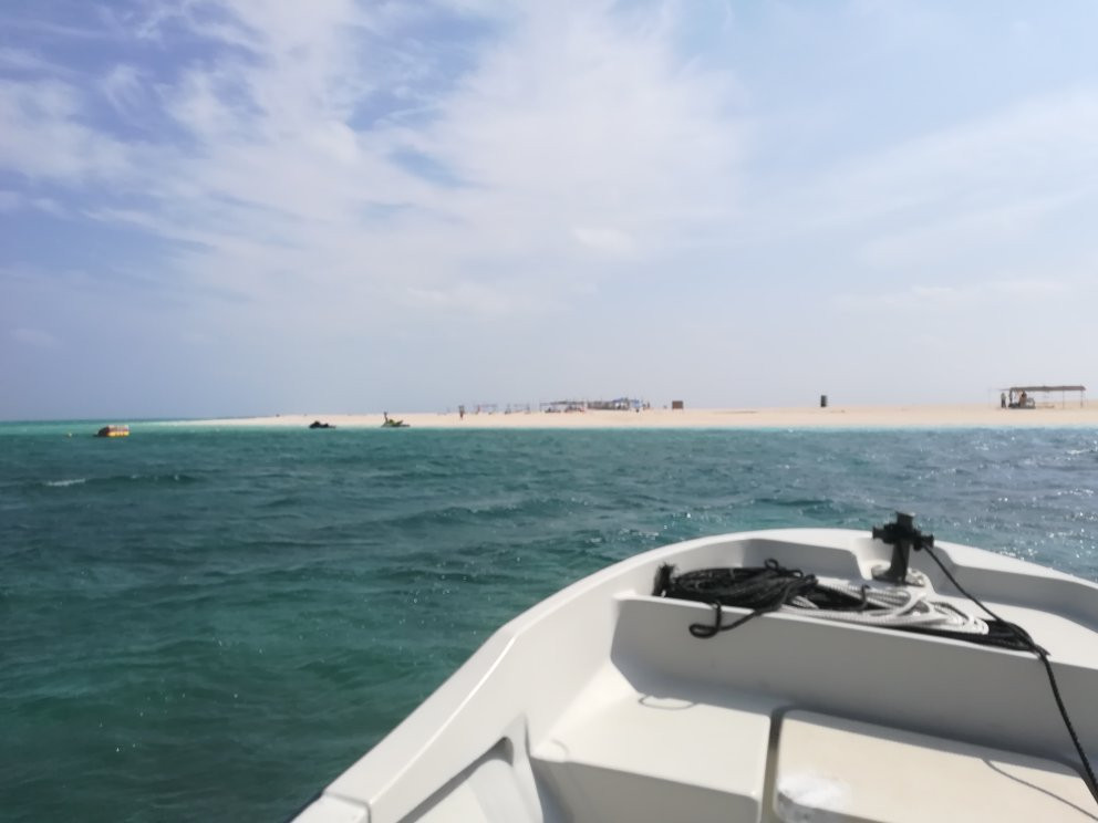 Bird Island景点图片
