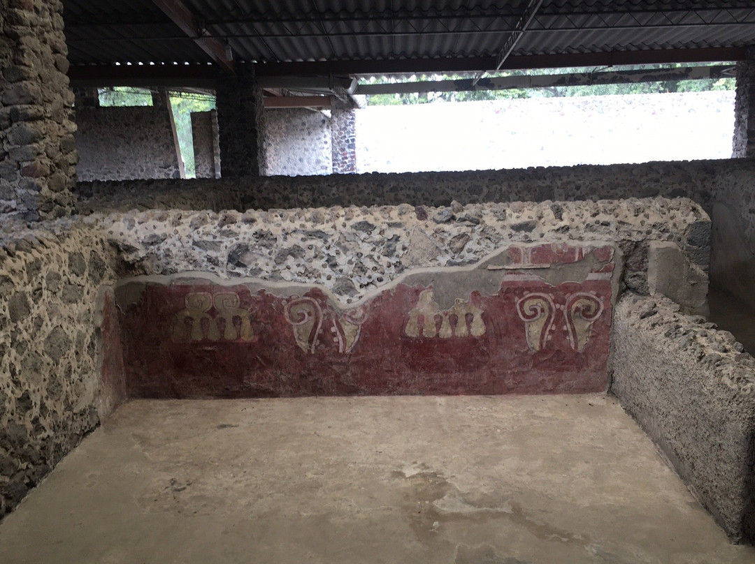 Explora Teotihuacan景点图片