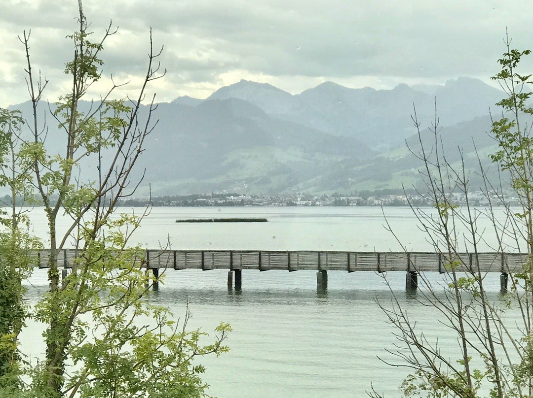 Wooden Bridge from Rapperswil to Hurden-拉珀斯维尔必去景点