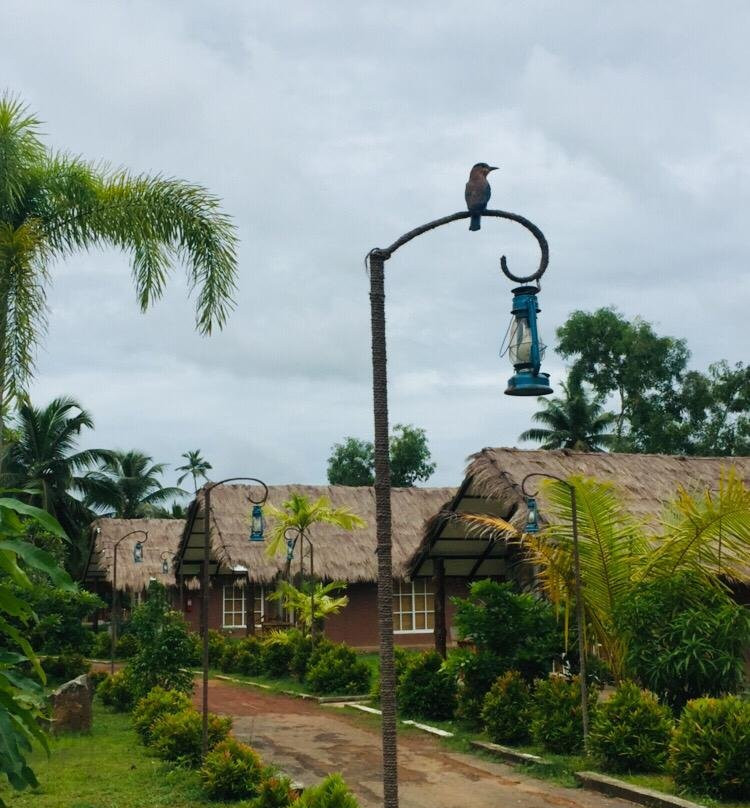 Coco Village Hotel主图