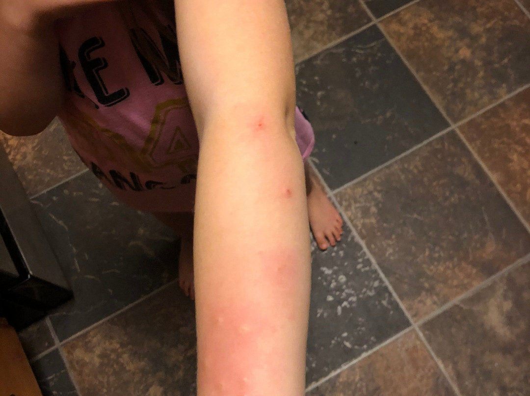 快捷假日费尔班克斯套房酒店主图