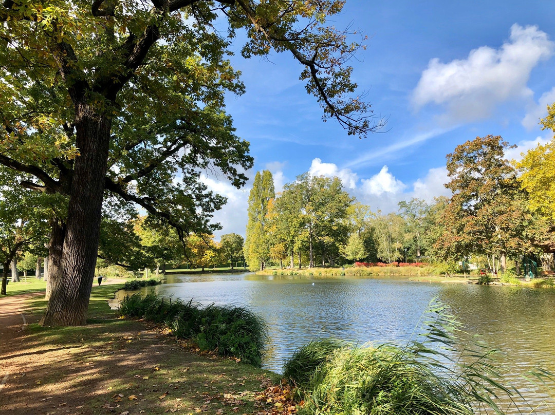 Parc des Ibis景点图片