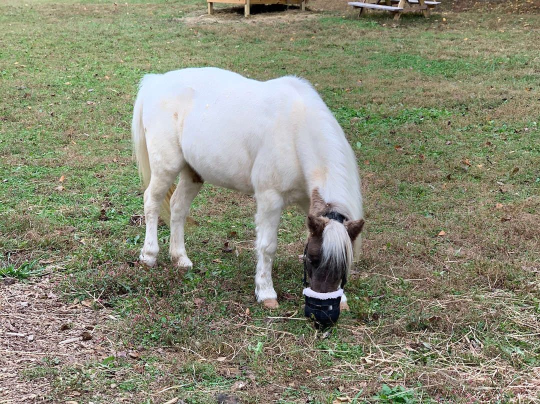 The Inn at Sugar Hollow Farm主图