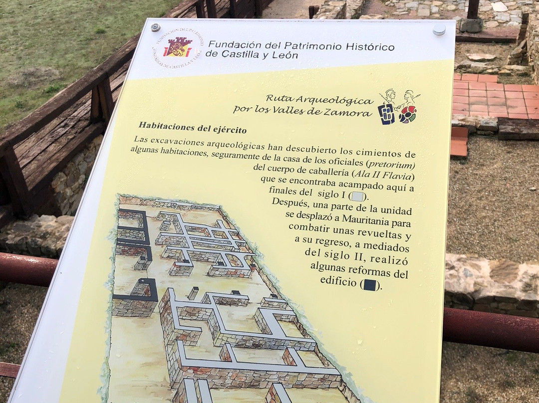 Campamento romano Petavonium景点图片